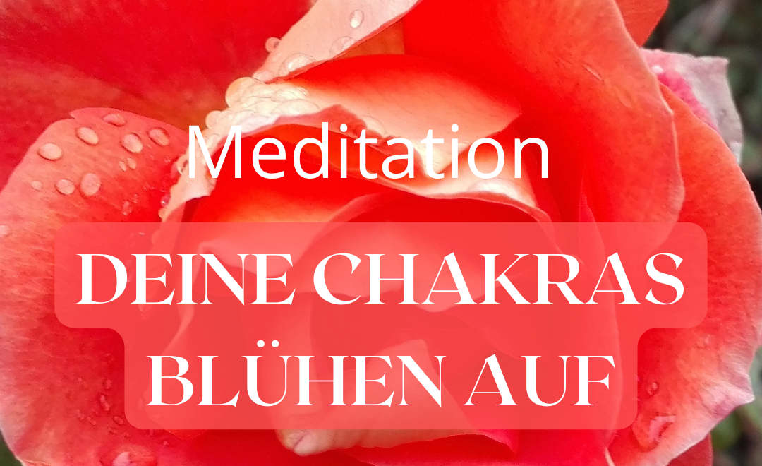 Meditation Deine Chakras blühen auf